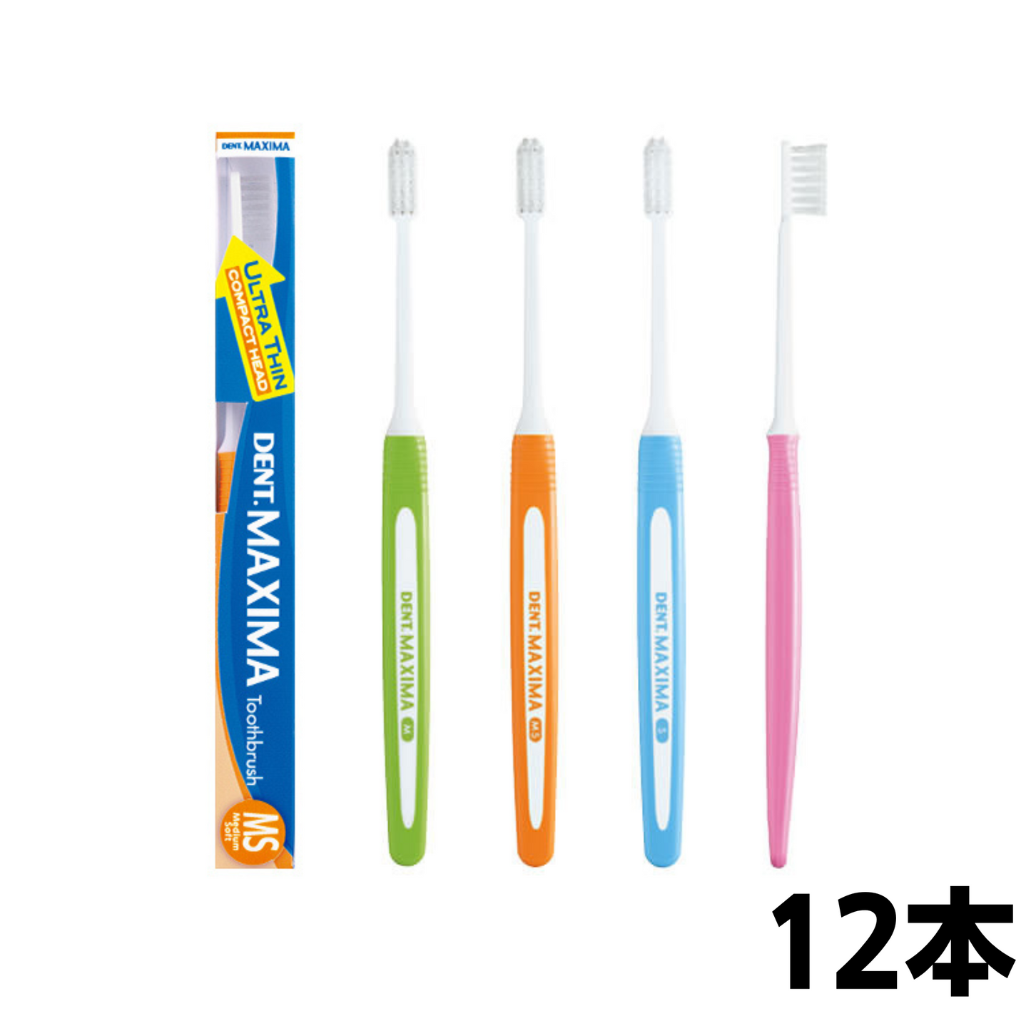 DENT.MAXIMA (デント マキシマ) 12本