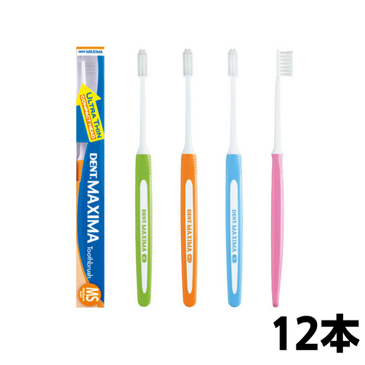 DENT.MAXIMA （デント マキシマ） 12本
