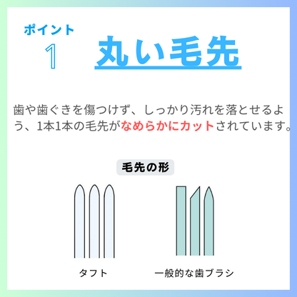 タフト24 歯ブラシ（S/MS/M/MH） 10本セット